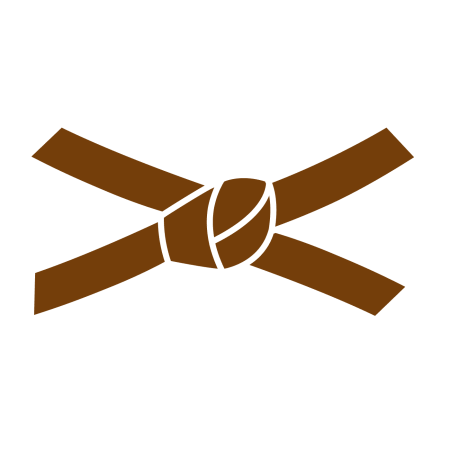 brown_belt_icon